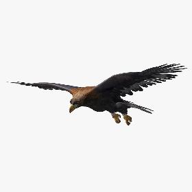 Workwear Suits Collection 2